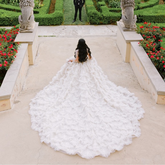 ATELIER BY JIMMY CHOO WEDDING DRESS with JIMMY CHOO matching cathedral veil - Picture 4 of 14